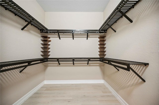 walk in closet with light wood-type flooring