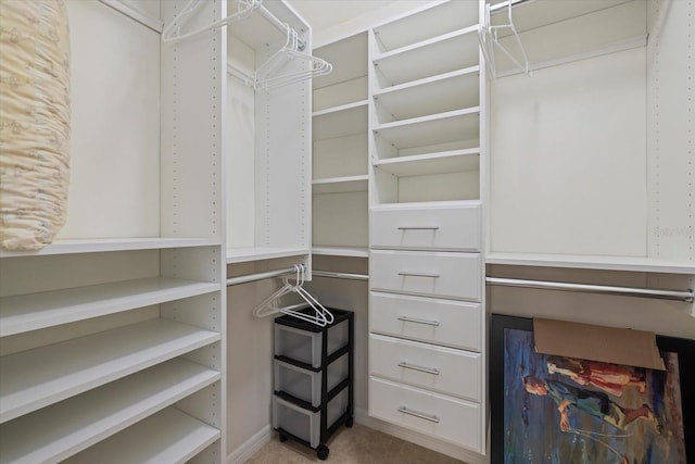 view of spacious closet