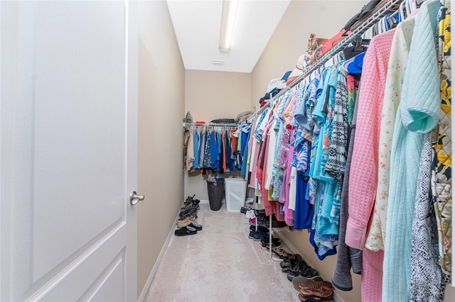 spacious closet featuring carpet flooring