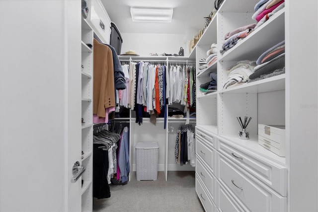 view of spacious closet