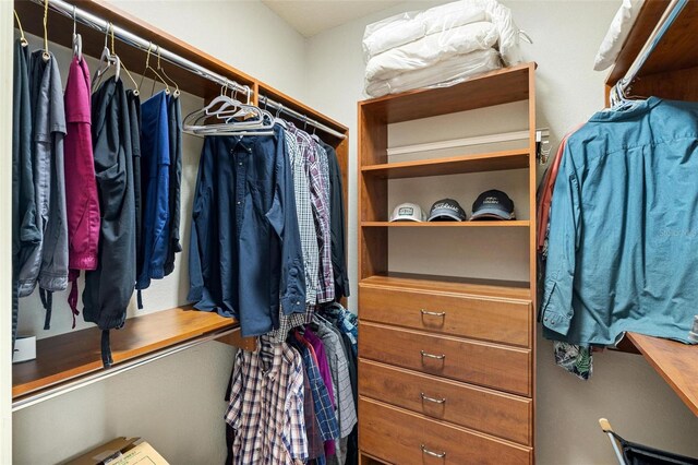 view of spacious closet