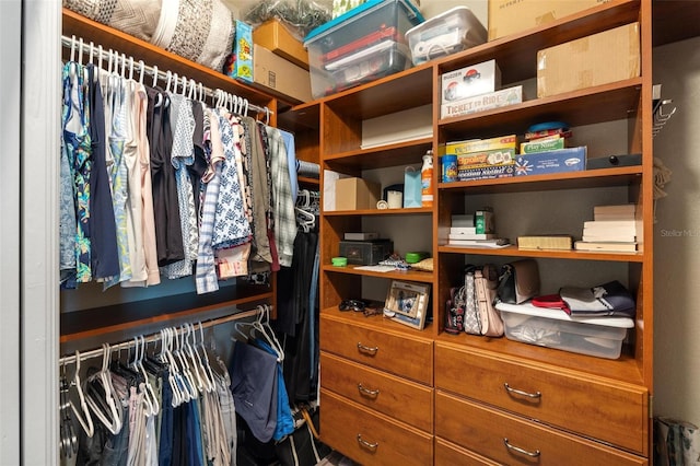 view of spacious closet