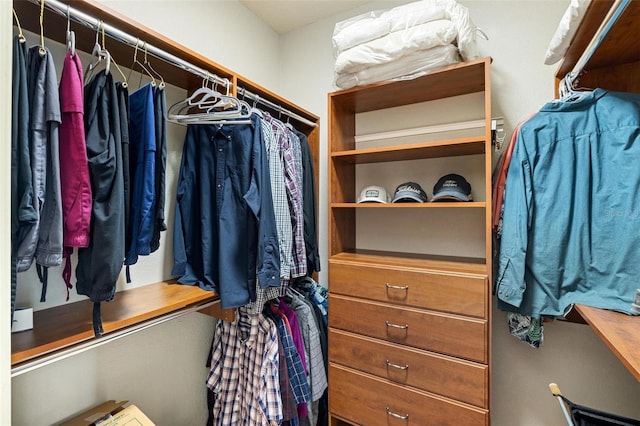 view of spacious closet