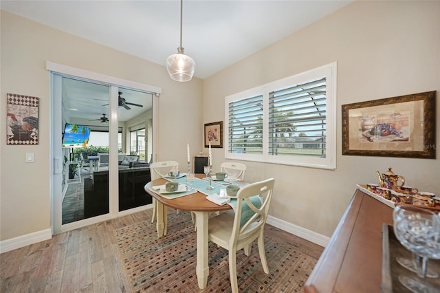 dining space with light hardwood / wood-style flooring and ceiling fan