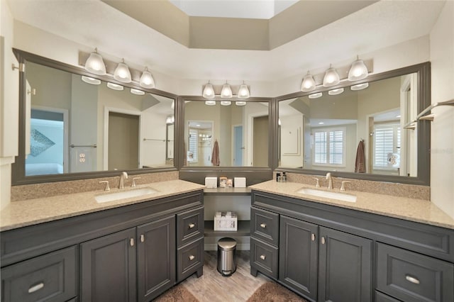 bathroom with hardwood / wood-style flooring and vanity