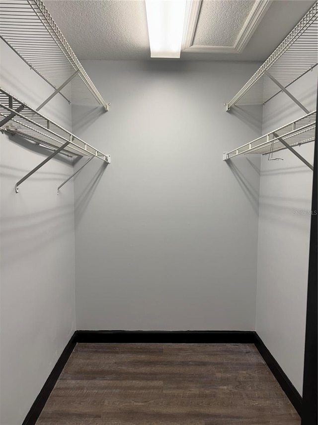 spacious closet with dark wood-type flooring