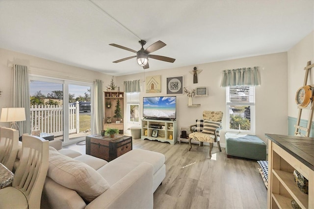 living room with ceiling fan, a healthy amount of sunlight, and light wood-type flooring