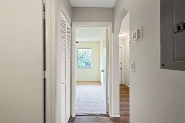 corridor featuring wood-type flooring and electric panel