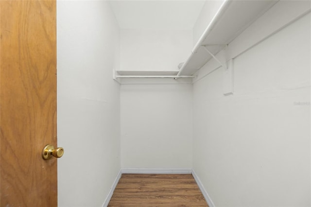 spacious closet featuring wood finished floors