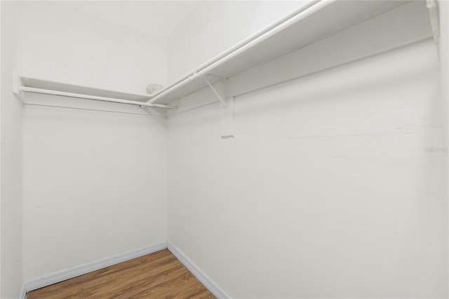 spacious closet featuring wood finished floors