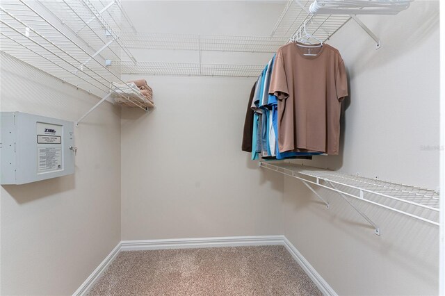 spacious closet with carpet floors