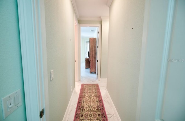 hallway featuring ornamental molding