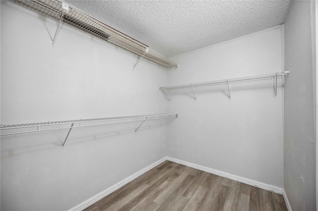 walk in closet with wood-type flooring