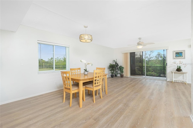 dining room featuring light hardwood / wood-style floors and ceiling fan