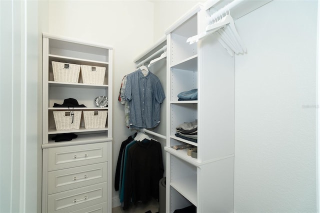 view of walk in closet