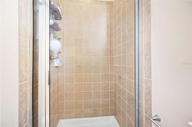 bathroom featuring a shower with shower door