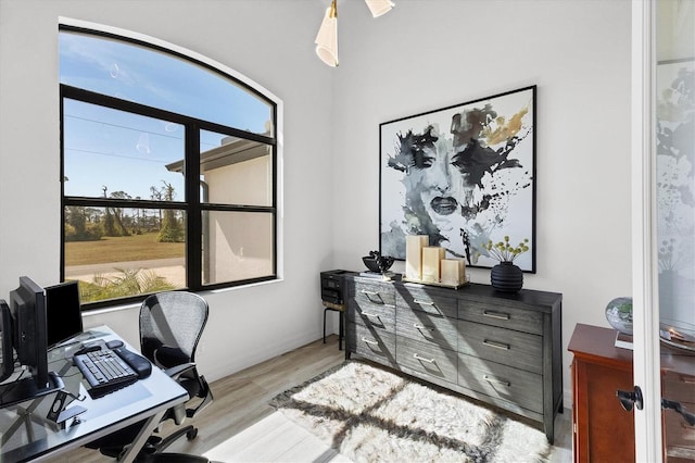 office with a wealth of natural light and light hardwood / wood-style floors