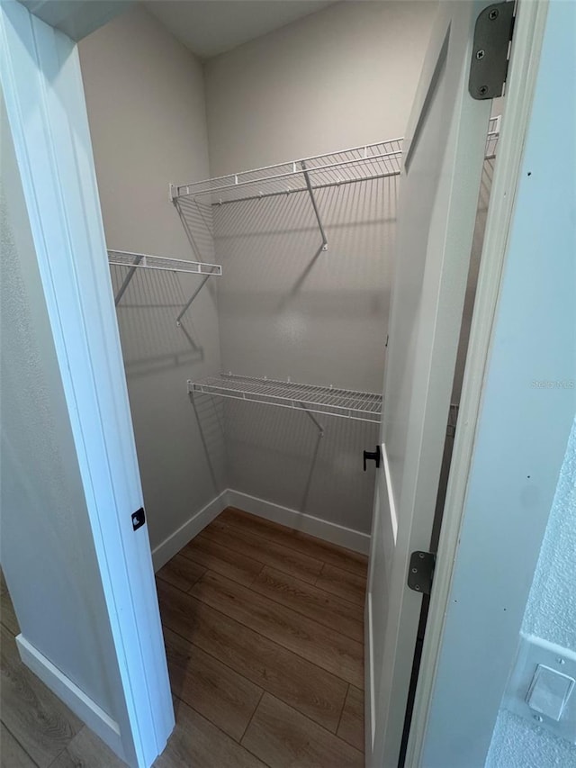 walk in closet featuring wood finished floors