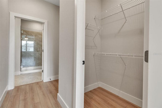 2814 Vogler Ln, North Port, FL 34286 - walk in closet with light wood-style flooring