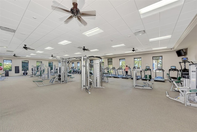 24269 Spartina Dr, Venice, FL 34293 - gym with a paneled ceiling