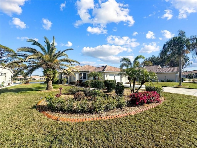 view of front of home featuring a front yard