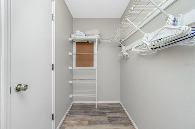 spacious closet featuring wood-type flooring