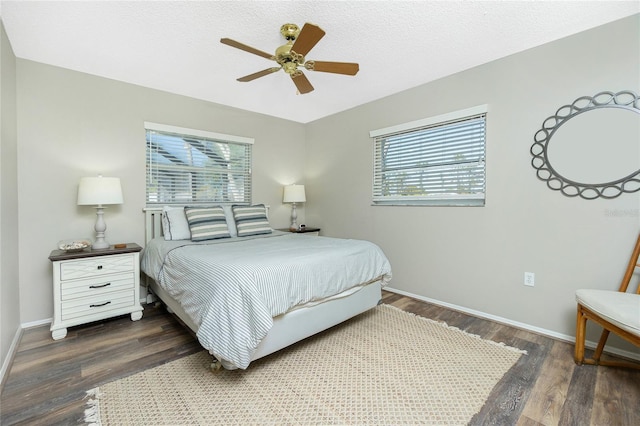 bedroom featuring dark hardwood / wood-style floors and multiple windows