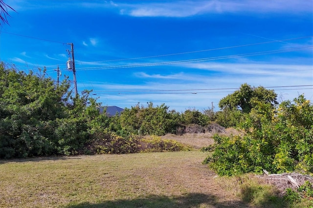 view of yard