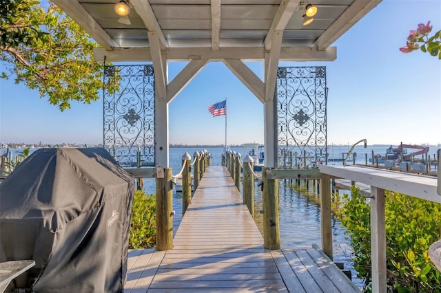 dock area with a water view