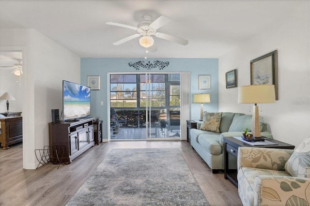 living room featuring ceiling fan and light hardwood / wood-style flooring