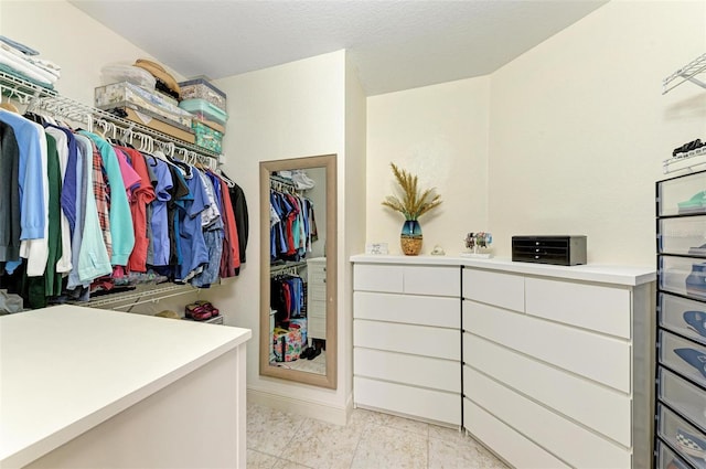 view of spacious closet