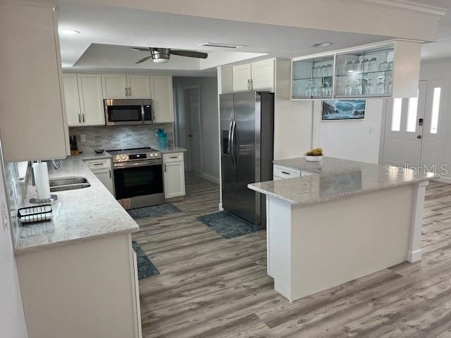 kitchen with a sink, tasteful backsplash, light wood-style floors, appliances with stainless steel finishes, and ceiling fan