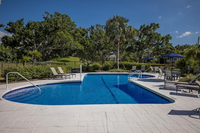 view of pool with a patio area