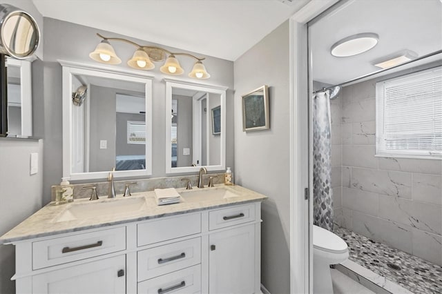 bathroom featuring toilet, a stall shower, double vanity, and a sink