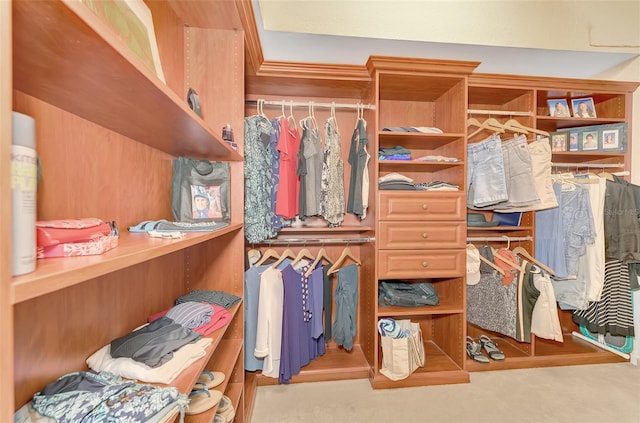 view of walk in closet