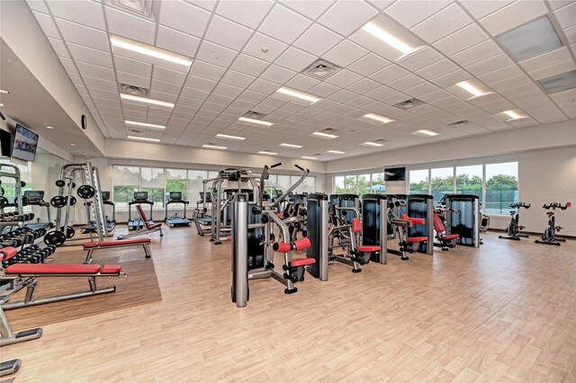 gym with plenty of natural light, a paneled ceiling, and light hardwood / wood-style floors