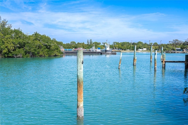 water view featuring a boat dock