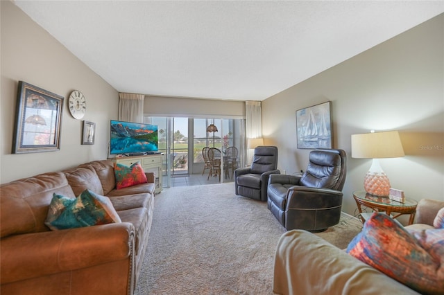 carpeted living room with a textured ceiling