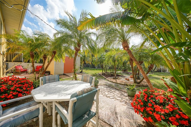 view of patio / terrace with a shed