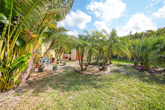 view of yard with a patio