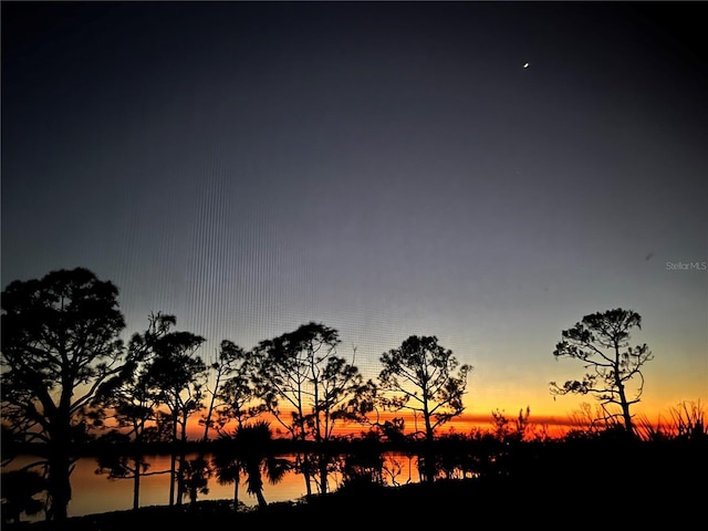 nature at dusk featuring a water view