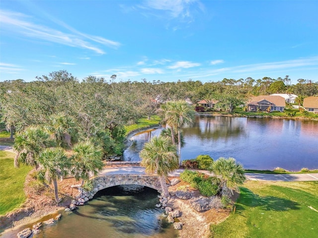 view of water feature