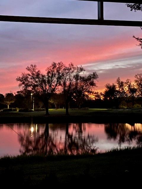 property view of water