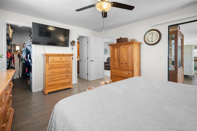 bedroom with dark hardwood / wood-style flooring, a spacious closet, a closet, and ceiling fan