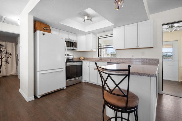 kitchen featuring a breakfast bar area, appliances with stainless steel finishes, dark hardwood / wood-style floors, a tray ceiling, and white cabinets