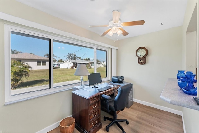 office featuring light hardwood / wood-style flooring and ceiling fan