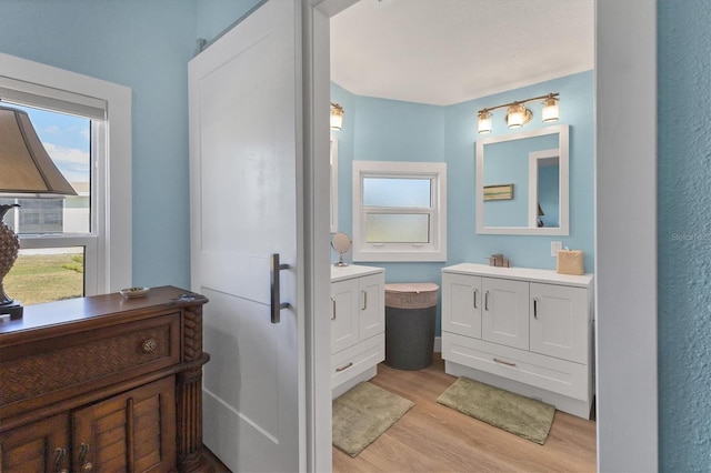 bathroom featuring vanity and wood-type flooring