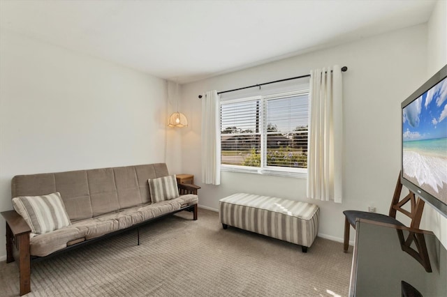 living area with carpet floors