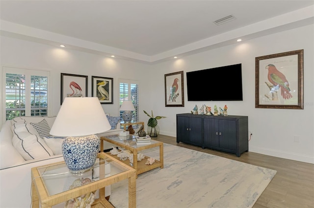 living room featuring wood-type flooring