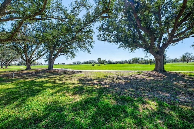 view of home's community with a lawn